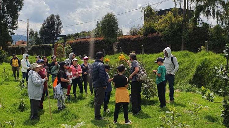 Reforestación en Colombia